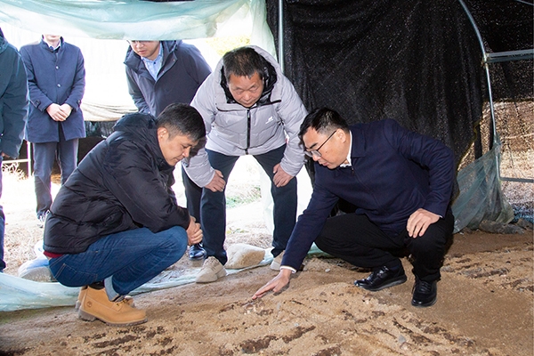 集團黨委副書記、總經(jīng)理朱勝利到大源村調(diào)研指導定點幫扶工作