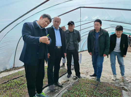 微信圖片_20240731173007 微信圖片_20240731173007