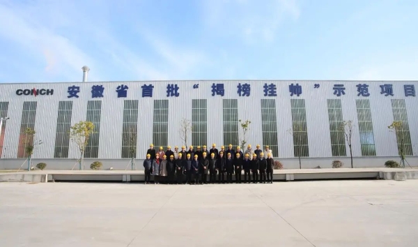 揭榜掛帥項目通過驗收！海螺集團低碳技術(shù)攻關(guān)成果再添一筆